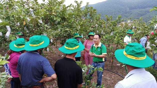 Đạm Phú Mỹ trở thành người bạn tin cậy của nhà nông trong nhiều năm qua.