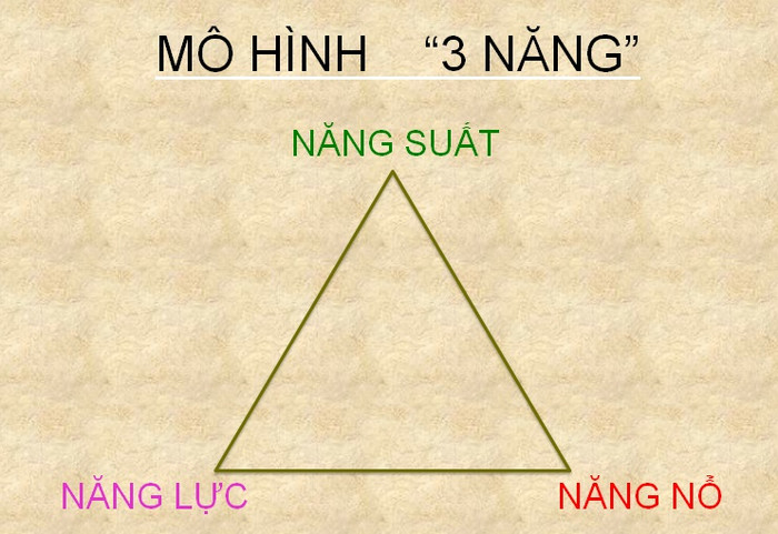 Doanh nghiệp sử dụng lao động thường đánh giá “3 năng” gồm: Năng lực, năng nổ, năng suất. Để đạt được những kỹ năng cần thiết, ngoài định hướng học tập tốt từ nhà trường, sinh viên cần được tiếp xúc trực tiếp nhiều tại các cơ sở làm việc; được tham dự nhiều buổi hội thảo có các chuyên gia đang điều hành doanh nghiệp chia sẻ - đó là những bài học thực tế bổ ích với sinh viên hơn là nghe quá nhiều các bài giảng ở trường.