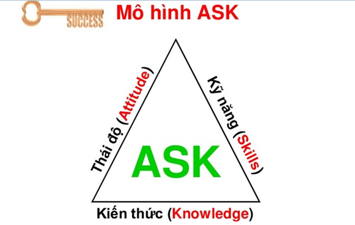 Theo bà Nga, ASK là mô hình được sử dụng rất phổ biến trong quản trị nhân sự nhằm đào tạo và phát triển năng lực cá nhân. Mô hình này đưa ra các tiêu chuẩn nghề nghiệp cho các chức danh công việc trong tổ chức dựa trên ba nhóm tiêu chuẩn chính: Phẩm chất hay thái độ (Attitude), Kỹ năng (Skills) và Kiến thức (Knowledges). Cụ thể hơn: Phẩm chất/Thái độ (Attitude): thuộc về phạm vi cảm xúc, tình cảm (Affective); Kỹ năng (Skills) - kỹ năng thao tác (Manual or physical); Kiến thức (Knowledge): thuộc về năng lực tư duy (Cognitive). Kiến thức được hiểu là những năng lực về thu thập tin dữ liệu; năng lực (phân tích, tổng hợp, đánh giá, ứng dụng) hiểu các vấn đề. Đây là những năng lực cơ bản mà một cá nhân cần hội tụ khi tiếp nhận một công việc. Công việc càng phức tạp thì cấp độ yêu cầu về các năng lực này càng cao. Các năng lực này sẽ được cụ thể hóa theo đặc thù của từng doanh nghiệp.