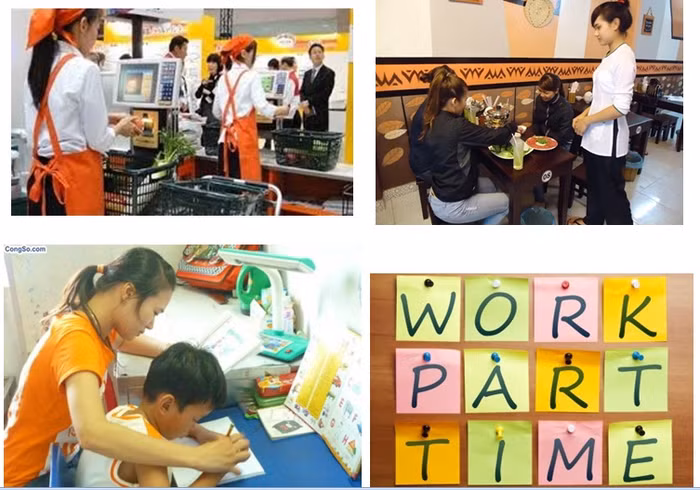 Bà Trần Thị Thúy Nga cũng đưa ra lời khuyên đối với các cơ sở đào tạo là nên dành nhiều thời gian để sinh viên được trải nghiệm thực tế, được làm việc bán thời gian. Điều đó giúp cho sinh viên hoàn thiện nhiều kỹ năng, tự tin hơn khi tốt nghiệp. Khi được trực tiếp làm việc, mỗi người sẽ tự thấy đâu là điểm mạnh, điểm yếu của mình để điều chỉnh.