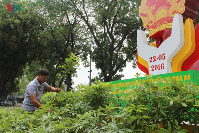 Cây xanh trên các phố được chăm sóc để hướng đến ngày hội non sông. Cây xanh trên các phố được chăm sóc để hướng đến ngày hội non sông.
