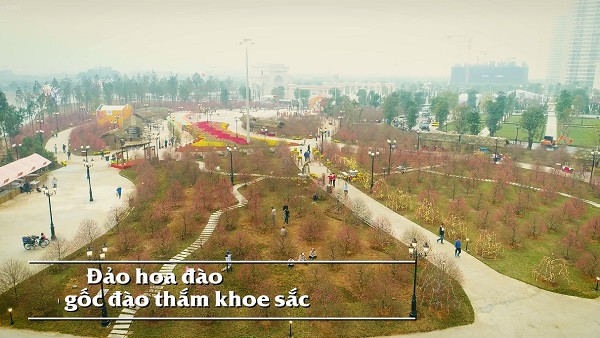 Thành phố biển hồ hóa “đảo hoa đào” với 1.000 gốc đào cùng nở rộ, khoe sắc giữa trời xuân.