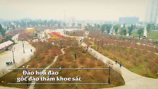 Thành phố biển hồ hóa “đảo hoa đào” với 1.000 gốc đào cùng nở rộ, khoe sắc giữa trời xuân.