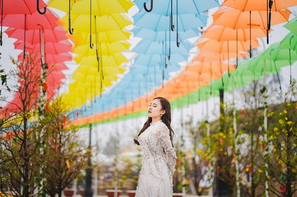 Con đường Ô, Con đường Nón lá, Đường Đèn lồng của lễ hội hoa được đánh giá là một trong những địa điểm check - in hot nhất dịp Tết Nguyên đán 2020, phủ sóng khắp các mạng xã hội.