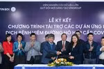 Bài văn của cô bé lớp 7 dành tặng các y bác sĩ Việt Nam trong mùa chống Covid-19 ảnh 2