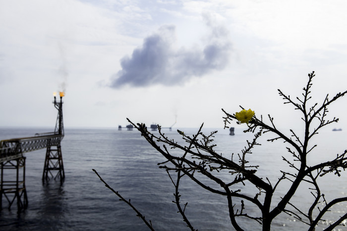 PVN quyết tâm, đoàn kết hoàn thành nhiệm vụ năm 2020 PVN quyết tâm, đoàn kết hoàn thành nhiệm vụ năm 2020