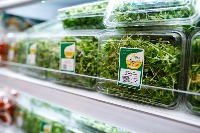 Sản phẩm rau mầm VinEco tươi ngon trên kệ hàng của siêu thị VinMart.
