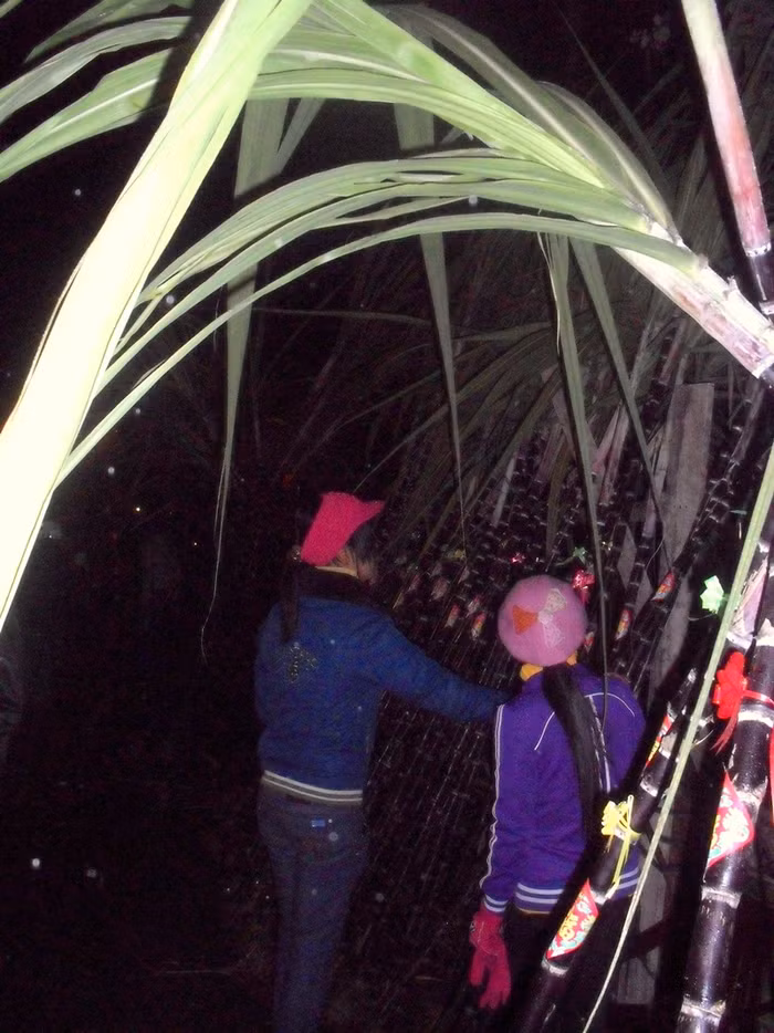 Bên cạnh đó, những quán bán mía lộc cũng rất đắt khách. Mọi người chọn mía lộc với mong muốn sẽ mang thêm lộc xuân vào nhà dịp đầu năm.