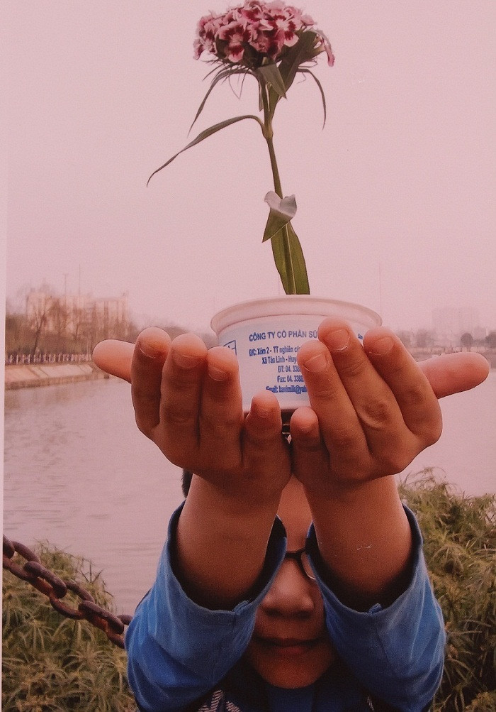 Bức ảnh "Cây hoa em trồng" của bạn Phạm Huy Hoàng, Lớp 2D Trường Tiểu học Hoàng Liệt.