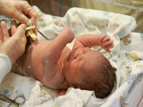 Dây rốn thực sự là một sự xuất hiện phổ biến trong thai kỳ (Ảnh: theo Boldsky).