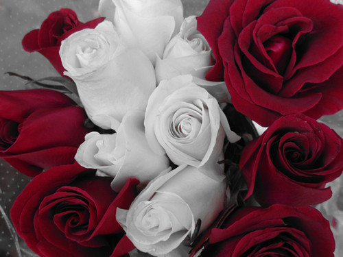 Theo xu hướng bùng nổ các loại ứng dụng bộ lọc hình ảnh, các nhà sản xuất bắt đầu thêm vào hiệu ứng và bộ lọc vào máy ảnh. Ảnh trước và sau là ví dụ một phần trong các tùy chọn của Canon: hiệu ứng thu nhỏ Miniature Effect (tilt-shift) và Color Acent, cho phép đánh dấu một màu và chuyển toàn bộ màu sắc còn lại sang đơn sắc. Những hiệu ứng này cũng nhiều loại khác có thể tìm thấy ở nhiều loại máy ảnh, từ cao cấp tới bình dân, và kết quả cũng tốt hơn nhiều so với dùng ứng dụng. Theo xu hướng bùng nổ các loại ứng dụng bộ lọc hình ảnh, các nhà sản xuất bắt đầu thêm vào hiệu ứng và bộ lọc vào máy ảnh. Ảnh trước và sau là ví dụ một phần trong các tùy chọn của Canon: hiệu ứng thu nhỏ Miniature Effect (tilt-shift) và Color Acent, cho phép đánh dấu một màu và chuyển toàn bộ màu sắc còn lại sang đơn sắc. Những hiệu ứng này cũng nhiều loại khác có thể tìm thấy ở nhiều loại máy ảnh, từ cao cấp tới bình dân, và kết quả cũng tốt hơn nhiều so với dùng ứng dụng.