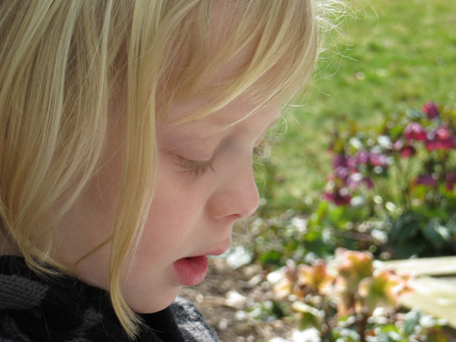 1. Zoom quang: Với nhiều người, zoom quang là tính năng khiếm khuyết lớn nhất trên smartphone. Ngoài vài ngoại lệ, phần lớn tùy chọn trên điện thoại di động chỉ là zoom số, làm hỏng ảnh rất cao. Một ống kính zoom tốt tất nhiên sẽ giúp mang những chủ thể ở xa lại gần hơn, và còn liên quan tới nhiều thứ khác như thay đổi tỉ lệ kích cỡ chủ thể hoặc thu hẹp khoảng cách giữa các chủ thể với nhau, hoặc trong trường hợp ảnh trên, tạo ra phông nền mờ ảo mà không cần tới máy ảnh ống rời chuyên nghiệp hay phần mềm nào. 1. Zoom quang: Với nhiều người, zoom quang là tính năng khiếm khuyết lớn nhất trên smartphone. Ngoài vài ngoại lệ, phần lớn tùy chọn trên điện thoại di động chỉ là zoom số, làm hỏng ảnh rất cao. Một ống kính zoom tốt tất nhiên sẽ giúp mang những chủ thể ở xa lại gần hơn, và còn liên quan tới nhiều thứ khác như thay đổi tỉ lệ kích cỡ chủ thể hoặc thu hẹp khoảng cách giữa các chủ thể với nhau, hoặc trong trường hợp ảnh trên, tạo ra phông nền mờ ảo mà không cần tới máy ảnh ống rời chuyên nghiệp hay phần mềm nào.