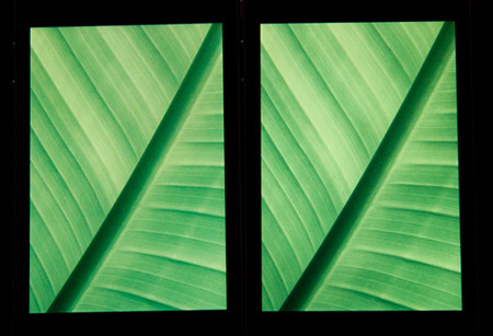 Khó để phân biệt được đâu là HKPhone 4S-Retina (phải) và đâu là iPhone 4 (trái) khi màu xanh đều được thể hiện rất trong trẻo tươi tắn. Khó để phân biệt được đâu là HKPhone 4S-Retina (phải) và đâu là iPhone 4 (trái) khi màu xanh đều được thể hiện rất trong trẻo tươi tắn.