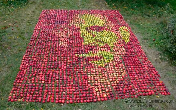 Năm 1976, Steve Jobs thành lập Apple Company, thời điểm mà ông trở về từ công việc tại một trại táo do người bạn từ thời đại học Robert Friedland. Đây là cảm hứng để ông đặt tên công ty là Apple (trái táo) và cũng là cảm hứng nghệ sĩ Olivier Lefebvre đã tạc nên bức chân dung Steve từ gần 4000 trái táo với đủ kích thước, màu sắc khác nhau.