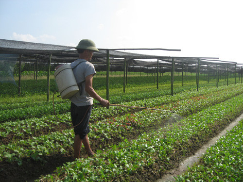 Nhiều người nông dân sử dụng thuốc bảo vệ thực vật hoàn toàn tự phát. Nhiều người nông dân sử dụng thuốc bảo vệ thực vật hoàn toàn tự phát.
