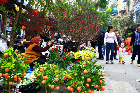 Phương án nghỉ Tết Nguyên đán 9 ngày được đông đảo nhân dân ủng hộ. Phương án nghỉ Tết Nguyên đán 9 ngày được đông đảo nhân dân ủng hộ.