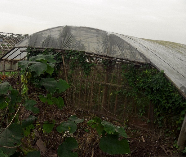 Gia đình ông Chu Thiên Sửu đã nhận tiền đền bù nhưng vẫn sử dụng bình thường khu đất này.