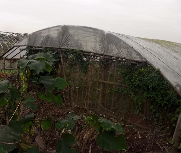 Gia đình ông Chu Thiên Sửu đã nhận tiền đền bù nhưng vẫn sử dụng bình thường khu đất này.