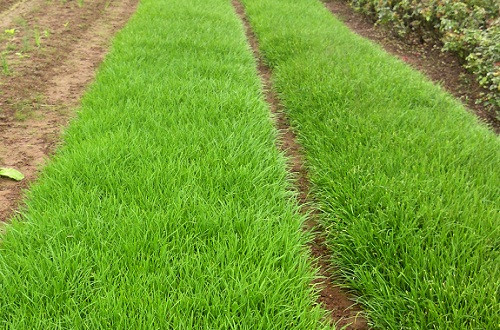 Dân biểu Nguyễn Hữu Kiên "đòi nợ" Chủ tịch Hà Nội ảnh 2 Dân biểu Nguyễn Hữu Kiên "đòi nợ" Chủ tịch Hà Nội ảnh 2