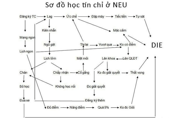 Sau khi đọc sơ đồ này, bạn sẽ thấy nhiều ngôi sao xuất hiện. Sau khi đọc sơ đồ này, bạn sẽ thấy nhiều ngôi sao xuất hiện.