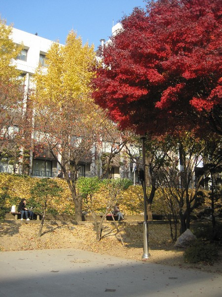 Thật thơ mộng khi mùa thu về. Thật thơ mộng khi mùa thu về.