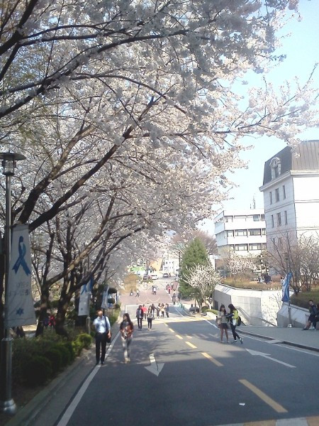 Khuôn viên trong trường thì vô cùng hấp dẫn nhé! Ngôi trường dành cho những nữ sinh cũng duyên dáng như chính họ vậy. Khuôn viên trong trường thì vô cùng hấp dẫn nhé! Ngôi trường dành cho những nữ sinh cũng duyên dáng như chính họ vậy.