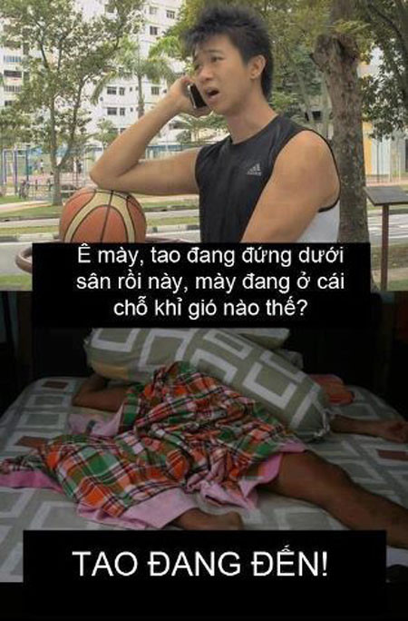 Đâu là sự thật?