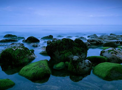 Bãi biển Killiney ở Dublin.