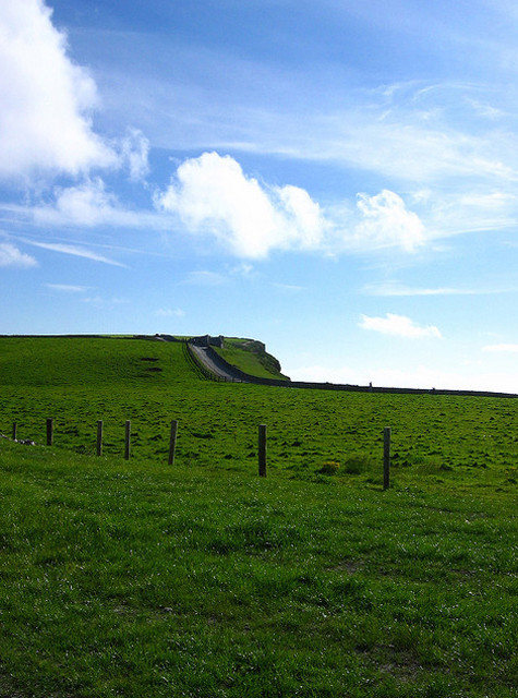 Những thảm cỏ xanh trải dài.