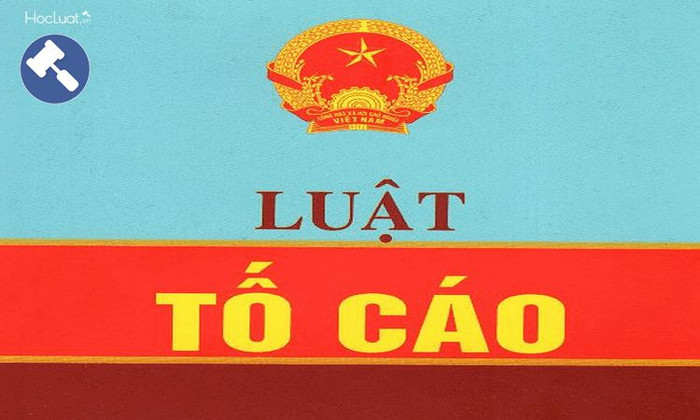 Nghị định 31/2019/NĐ-CP quy định cụ thể những trường hợp bị cách chức khi vi phạm luật Tố cáo.