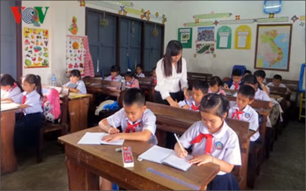 Chất lượng đầu vào ngành sư phạm hiện nay ra sao? (Ảnh minh họa: vov.vn).