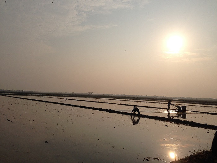 Cuối ngày, người nông dân vẫn hăng say trên những thửa ruộng khi thời gian đã là những ngày giáp tết Nguyên đán Kỷ Hợi 2019. Ảnh: Đỗ Công Tiến Cuối ngày, người nông dân vẫn hăng say trên những thửa ruộng khi thời gian đã là những ngày giáp tết Nguyên đán Kỷ Hợi 2019. Ảnh: Đỗ Công Tiến
