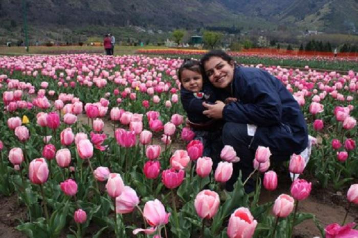 Vườn tulip ở Srinagar, Ấn Độ. Vườn tulip ở Srinagar, Ấn Độ.