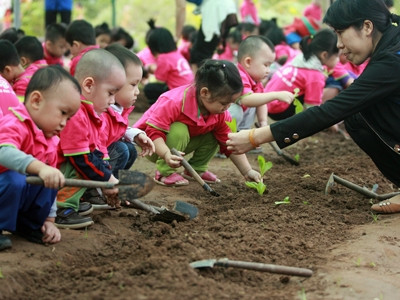 Các bé trường Mầm non Sơn Ca Định Công (Hà Nội) học trồng cây Các bé trường Mầm non Sơn Ca Định Công (Hà Nội) học trồng cây