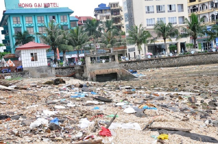 Ngày trước, bãi tắm Bãi Cháy bị ô nhiễm không ai dám xuống tắm. Ngày trước, bãi tắm Bãi Cháy bị ô nhiễm không ai dám xuống tắm.
