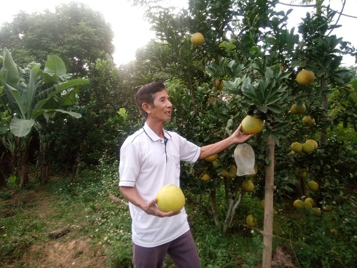 Không chỉ làm tốt công tác xã hội, thầy Cương ở xóm Cô Dạ xã Bảo Lý còn gương mẫu trong phát triển kinh tế. (Ảnh: VĂN MƯU) Không chỉ làm tốt công tác xã hội, thầy Cương ở xóm Cô Dạ xã Bảo Lý còn gương mẫu trong phát triển kinh tế. (Ảnh: VĂN MƯU)