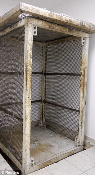 Thang máy thủy lực bên trong đường hầm ma túy mới được phát hiện