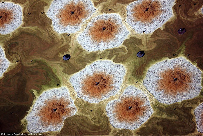 Nhà máy hóa chất gần New Orleans, nơi sản xuất nhiều chất dẫn xuất sử dụng trong một loạt các sản phẩm, từ mỹ phẩm đến bao bì nhựa và các chất phụ gia sơn. Ô nhiễm đã biến khu vực xung quanh nhà máy này thành hình dạng như các tế bào sinh học. Nhà máy hóa chất gần New Orleans, nơi sản xuất nhiều chất dẫn xuất sử dụng trong một loạt các sản phẩm, từ mỹ phẩm đến bao bì nhựa và các chất phụ gia sơn. Ô nhiễm đã biến khu vực xung quanh nhà máy này thành hình dạng như các tế bào sinh học.