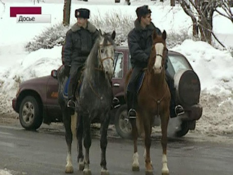 Các cán bộ kiểm lâm cùng các nhân viên ở Nội vụ thành phố sẽ cưỡi ngựa đi tuần tra tại các công viên, khu săn bắn nơi thường diễn ra các hoạt động chặt thông trái phép.