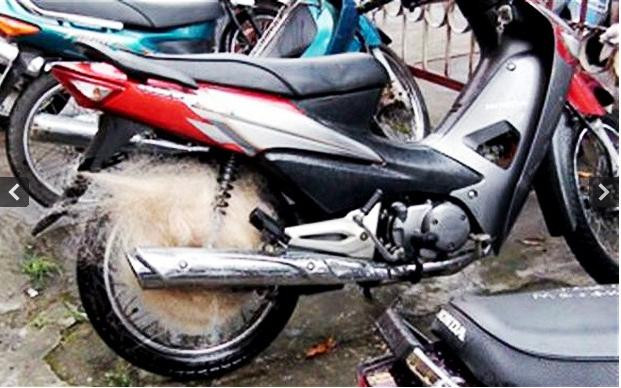 Ảnh cảnh sát giao thông Thanh Hóa dùng lưới đánh cá bắt người đua xe được Telegraph đăng tải