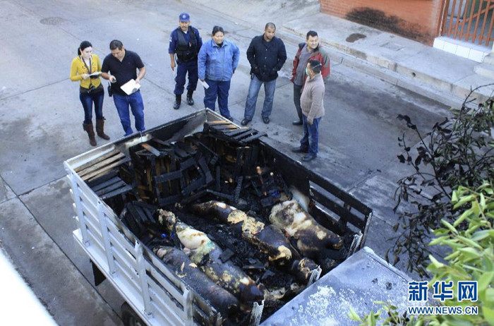 Thi thể những người đàn ông bị giết và bị đốt cháy trong chiếc xe tải Thi thể những người đàn ông bị giết và bị đốt cháy trong chiếc xe tải