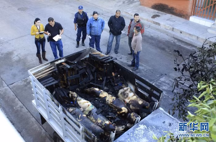 Thi thể những người đàn ông bị giết và bị đốt cháy trong chiếc xe tải