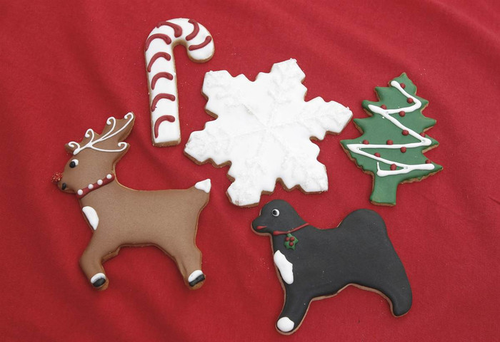 Bánh quy Giáng sinh của Nhà Trắng Giáng có hình chó Bo, gia đình Tổng thống Obama và tuần lộc Rudolph mũi đỏ. Bánh quy Giáng sinh của Nhà Trắng Giáng có hình chó Bo, gia đình Tổng thống Obama và tuần lộc Rudolph mũi đỏ.