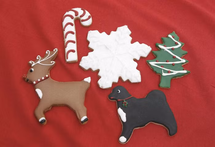 Bánh quy Giáng sinh của Nhà Trắng Giáng có hình chó Bo, gia đình Tổng thống Obama và tuần lộc Rudolph mũi đỏ.