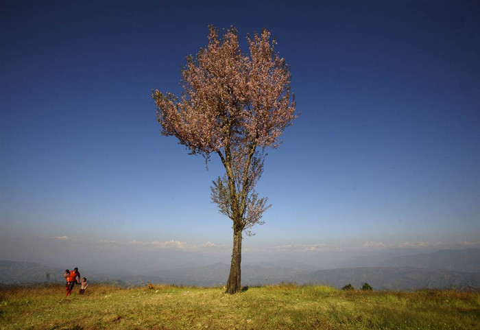 Một phụ nữ trở về nhà cùng với những đứa con nhỏ từ cánh đồng ở Phulbari, Kathmandu, Nepal hôm 25/11. Một phụ nữ trở về nhà cùng với những đứa con nhỏ từ cánh đồng ở Phulbari, Kathmandu, Nepal hôm 25/11.