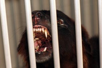 Ảnh minh họa Ảnh minh họa