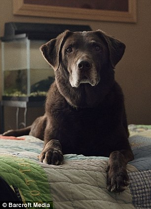 Tuff tham gia cứu hộ ngay sau khi cuộc tấn công vừa xảy ra.