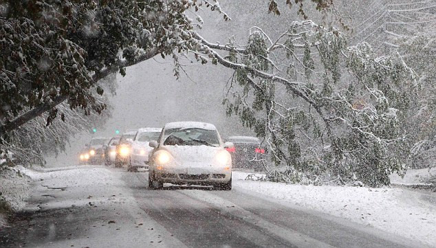 Cây đổ trên đường Route 303 ở ngoại ô New York Cây đổ trên đường Route 303 ở ngoại ô New York