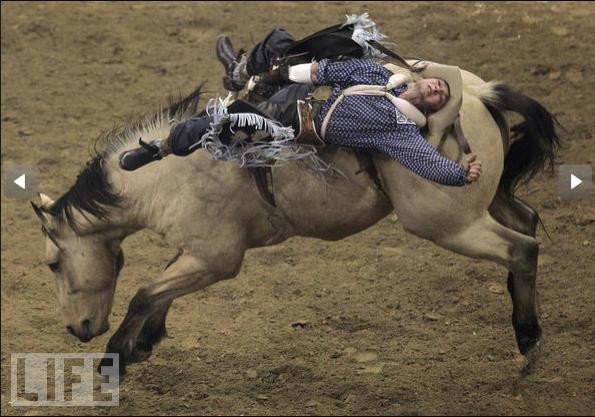 Will Lowe cưỡi ngựa tham gia vòng tứ kết cuộc thi National Finals Rodeo ở Las Vegas, Nevada. Will Lowe đã giành vị trí thứ 4 trong cuộc thi năm nay.