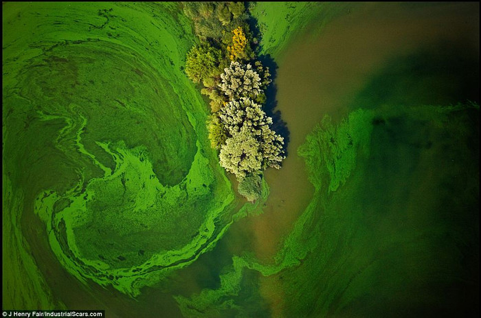 Một ao đầy thuốc diệt cỏ ở gần Luling, Texas Một ao đầy thuốc diệt cỏ ở gần Luling, Texas